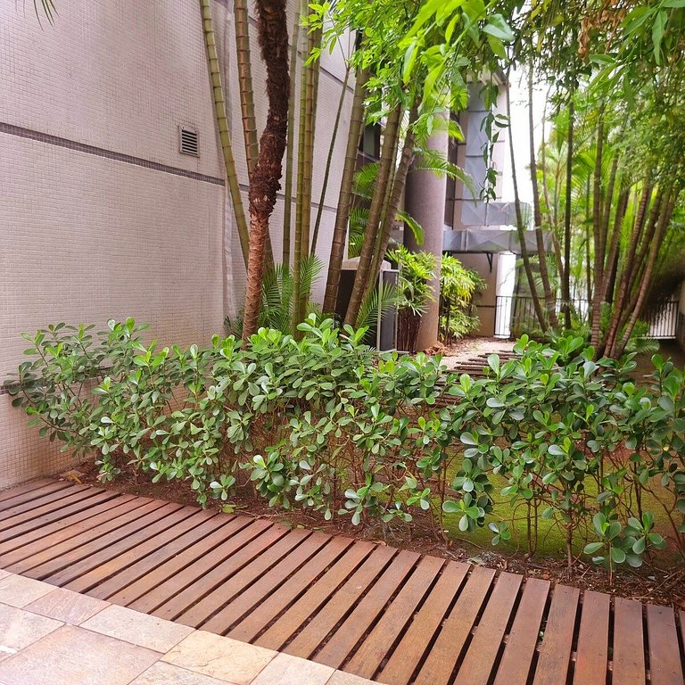 Apto Top Próximo do Parque Ibirapuera - Portão 9